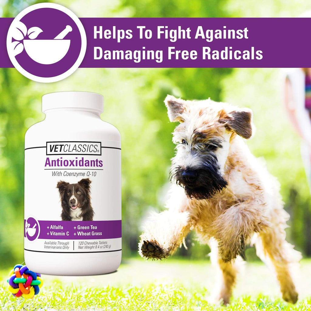 Vet Classics Coenzyme Q-10 Antioxidant for Dogs - 120 Chewable Tablets