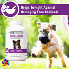 Vet Classics Coenzyme Q-10 Antioxidant for Dogs - 120 Chewable Tablets