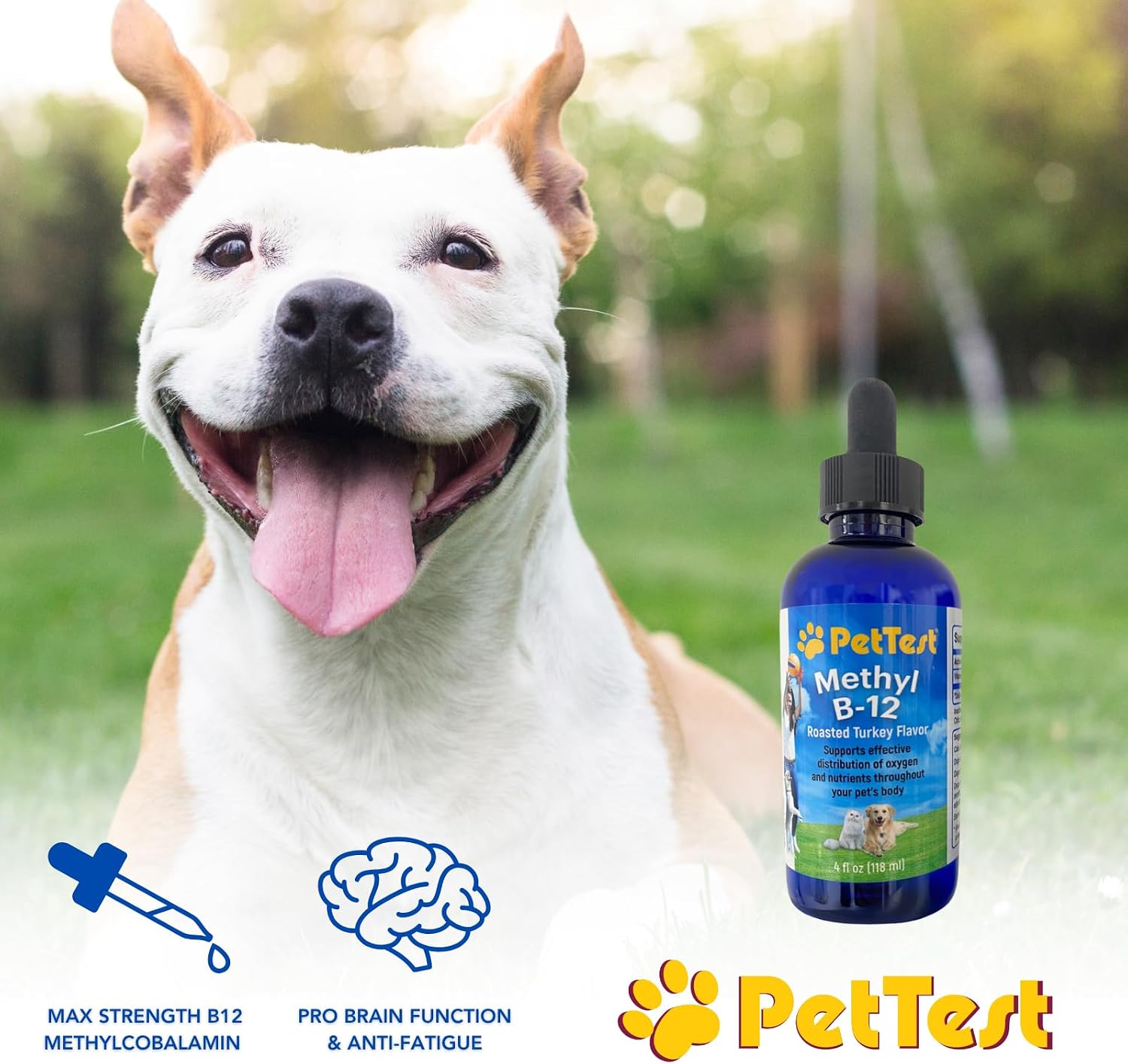 PetTest Methyl B12 Gotas Líquidas para Mascotas - 5000 mcg de Metilcobalamina - 118 ml