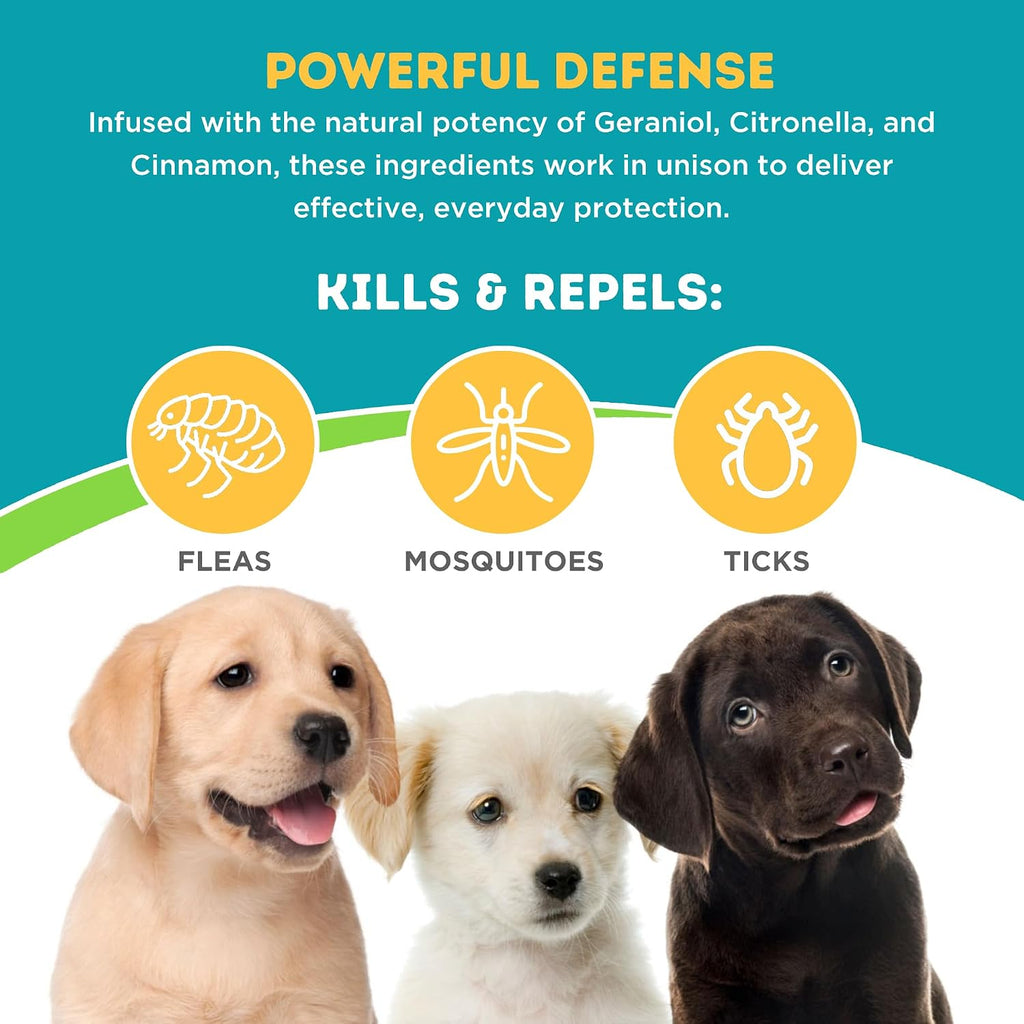 Only Natural Pet Kit de Bienestar 3 en 1 para Perros Pequeños – Incluye Squeeze-On, Barrier Bites y Collar Protector
