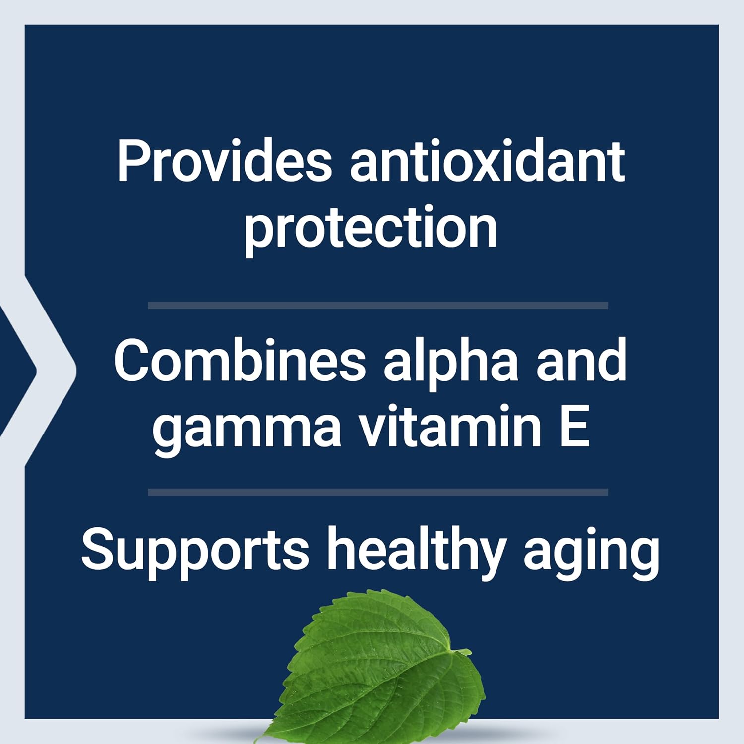 Life Extension Gamma E Mixed Tocopherols – Suplemento de Vitamina E con Lignan de Sésamo, 60 Cápsulas Blandas