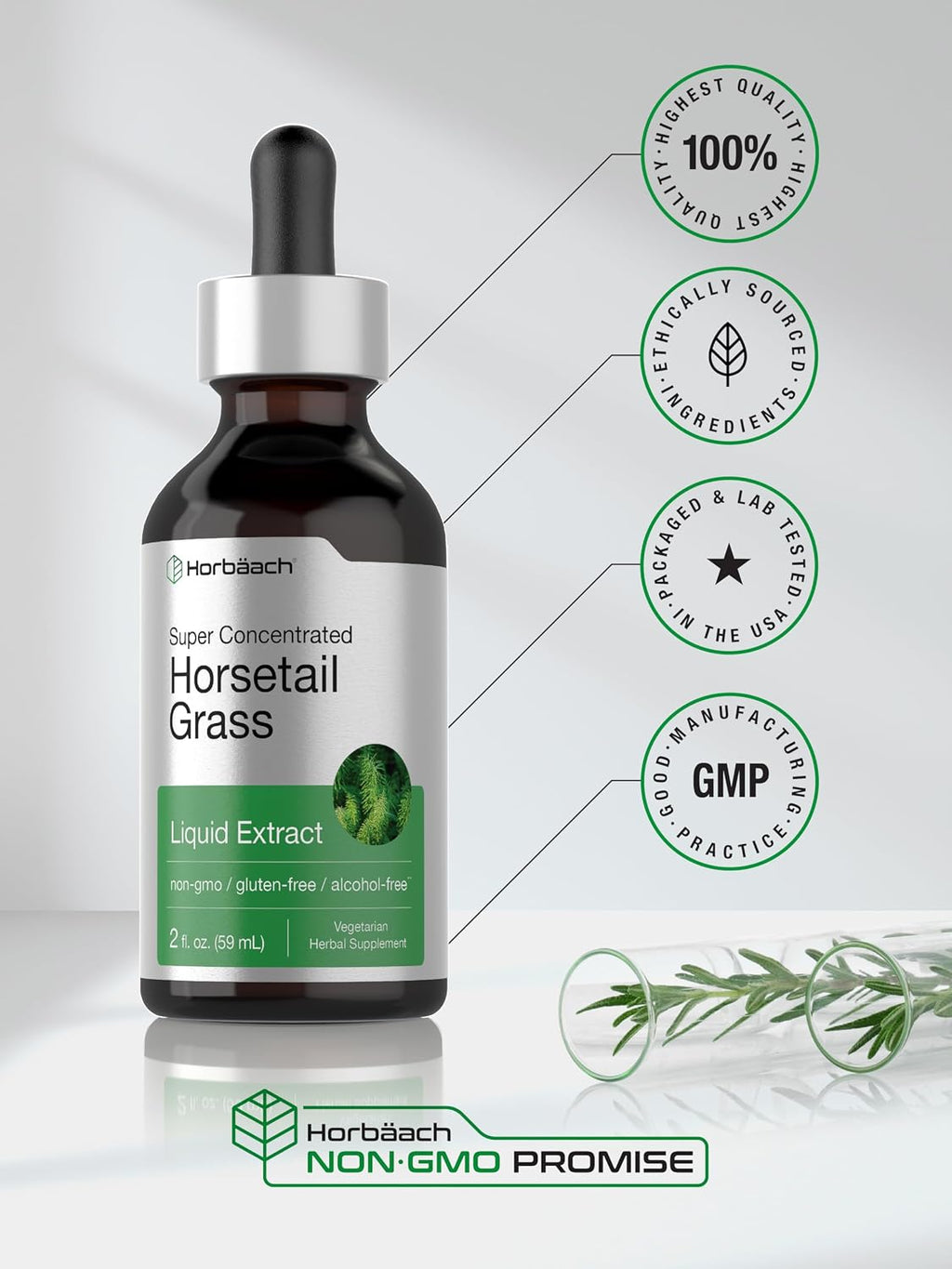 Horbäach Extracto Líquido de Cola de Caballo | Sin Alcohol | 2 fl oz | Vegano, No-GMO y Sin Gluten