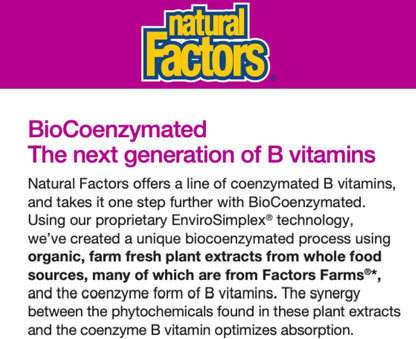 Natural Factors BioCoenzymated Metilfolato – Personas mayores: Con la edad, la absorción de B12 y folato puede – Image 3