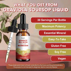 Catfit Soursop Graviola Liquid Drop – Gotas Líquidas de Guanábana con Musgo Marino, Cúrcuma y Zinc, Sabor Fresa, 60 ml