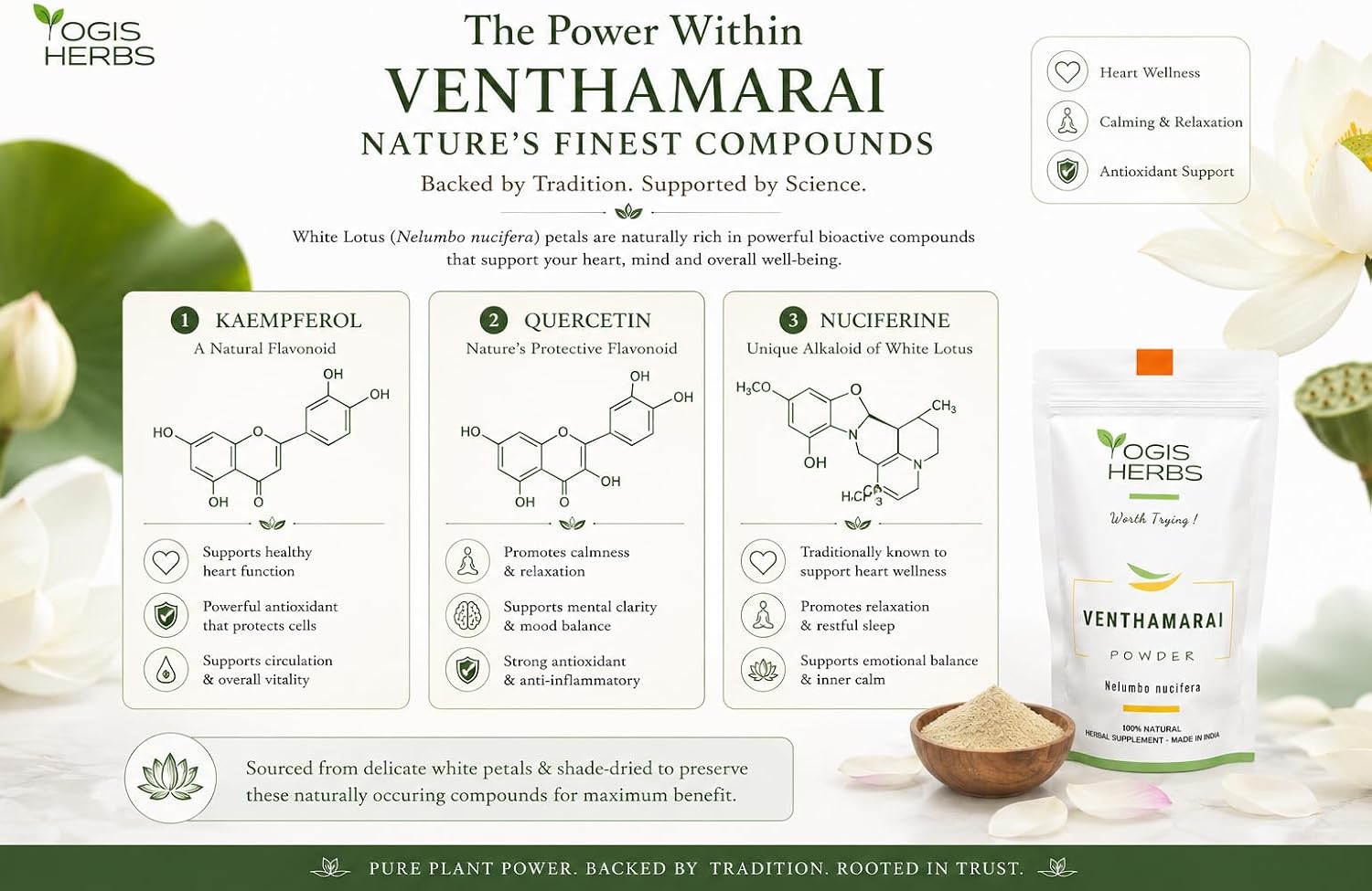 YOGIS HERBS Polvo de Venthamarai - Polvo de Loto Blanco (Nelumbo Nucifera) - Hierba Tradicional Siddha Tamil - Pétalos Puros en Polvo