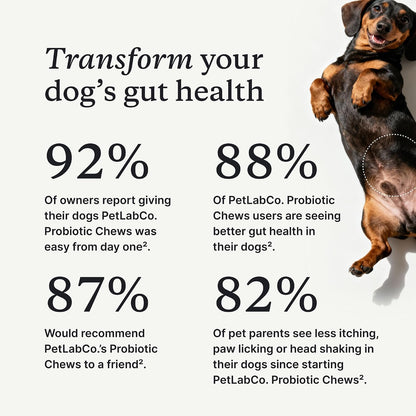 PetLab Co. Probióticos para Perros - Sabor – Mantenimiento de la flora intestinal: Contribuyen a mantener un – Image 2