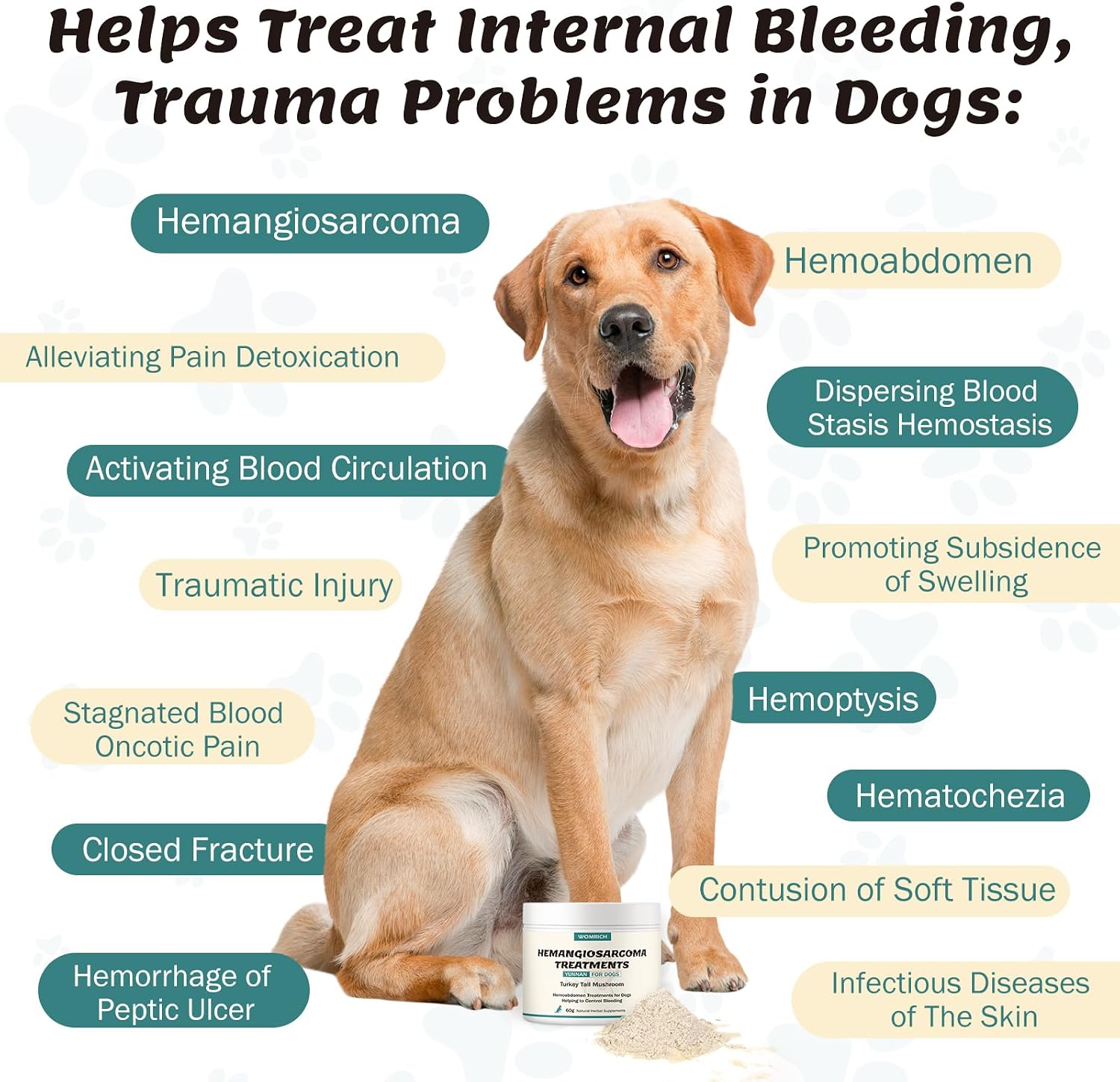 Blood Support para Perros - Yunnan Sanqi, Ajuga y Hongo Cola de Pavo, 60g