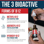 BioActive Vitamin B12 1000 mcg con 3 Formas Bioactivas y Metilfolato - Sublingual Sabor Cereza, Orgánico, Vegano (180 Dosis)