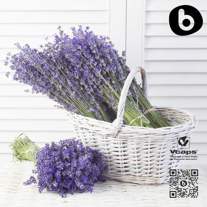 Cápsulas de Lavanda Orgánica - 90 Cápsulas Veganas para Relajación y Bienestar – Image 6