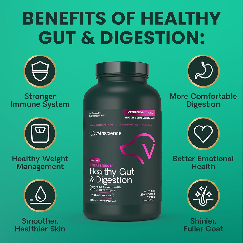 VetriScience Extra Strength Healthy Gut & Digestion - Complemento para perros con probióticos y enzimas digestivas, 120 comprimidos masticables sabor pollo