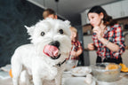 Pooch Nooch XL - Topper Gourmet para Perros con Levadura Nutricional y Hierbas - 213 g