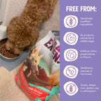Health Extension Alimento seco sin cereales para perros con búfalo y pescado blanco - 30+ superalimentos y probióticos para todas las etapas de la vida (4,5 kg)