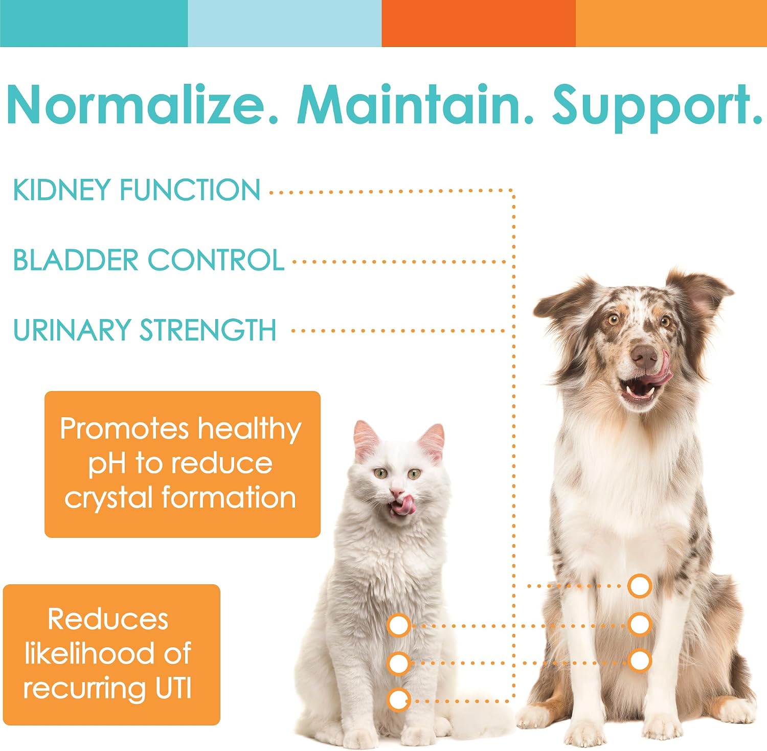 NUSENTIA UTRIN – Soporte Urinario para Perros y Gatos – Arándano y D-Mannosa – Salud de la Vejiga e Incontinencia, 60 Dosis