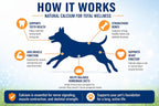 Eggshell Calcium for Pets - 12 oz. Polvo de Cáscara de Huevo Natural, Suplemento Mineral Ultra Puro para Gatos y Perros