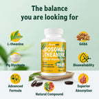 Vivaravida L-Theanina 800mg con GABA y Glicinato de Magnesio - Compuesto Natural para el Sueño y la Relajación (60 Cápsulas Blandas)