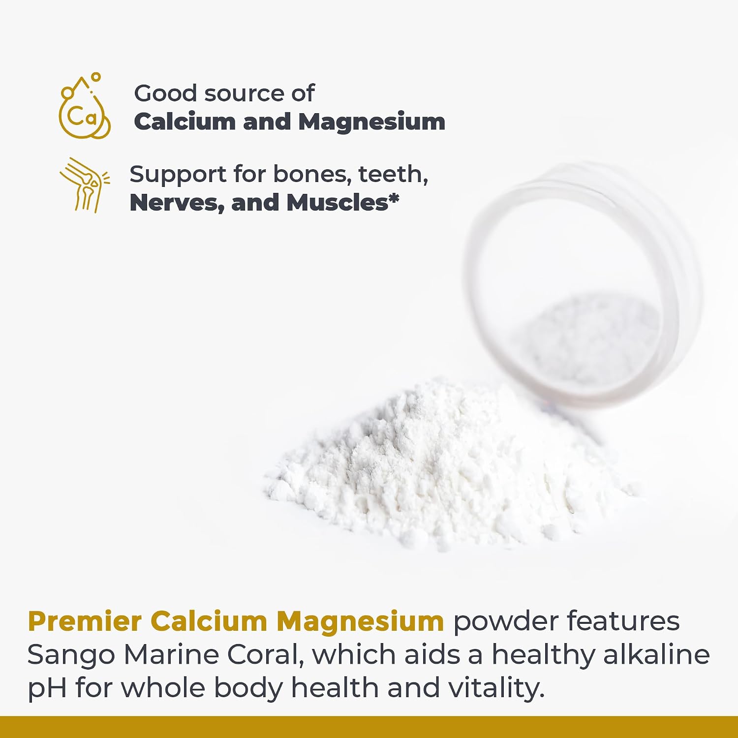 Premier Research Labs Calcio y Magnesio en Polvo - Polvo de Calcio Coral Natural para la Salud Ósea - 227 g