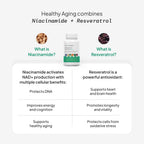 SELF NUTRITION NAD+ Resveratrol para Mujer con CoQ10, Biotina, Cúrcuma y Vitaminas A, C, E – 60 Cápsulas
