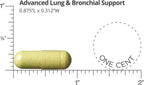 Dr. Sinatra Advanced Lung & Bronchial Support – 60 Cápsulas (30 Días)