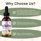 Milk Thistle para Perros y Gatos - Limpieza Hepática y Soporte Renal con Diente de León | Sabor Bacon | 60 ml