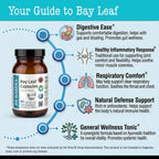 DR WAKDE's Bay Leaf (Cinnamomum tamala) Capsules - 60 Vegan Capsules