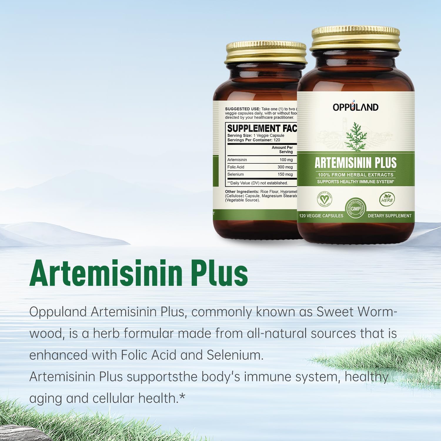 Artemisinin Plus – 100 mg de Artemisa Dulce con Ácido Fólico y Selenio – 120 Cápsulas Veganas