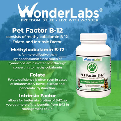 Pet Factor B-12 | Vitamina B-12 en Metilcobalamina para Perros | 180 Cápsulas – Image 7