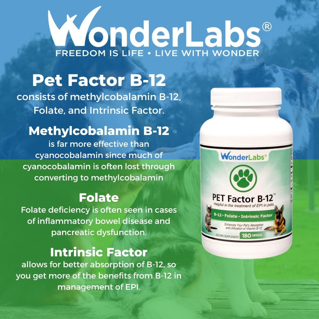 Pet Factor B-12 | Vitamina B-12 en Metilcobalamina para Perros - 90 Comprimidos