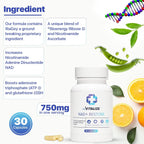 NAD+ 750mg con Nicotinamida Ribósido - Suplemento Antienvejecimiento y Energía Celular | REVITALIZE