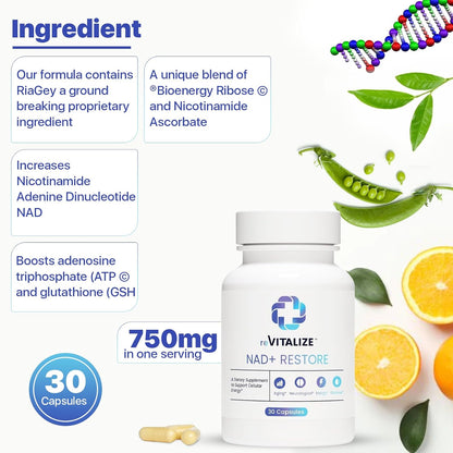 NAD+ 750mg con Nicotinamida Ribósido - – Vitamina B3 (niacina): la niacina contribuye al metabolismo energético – Image 4