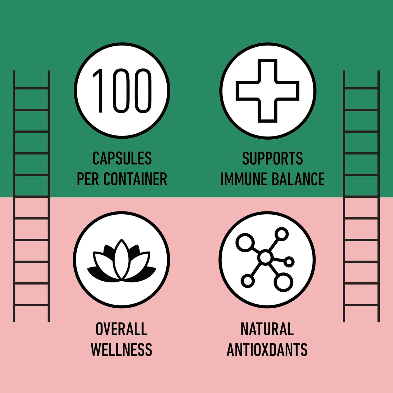 Complete Natural Products Cápsulas de Hibisco Orgánico, 550mg, 100 unidades