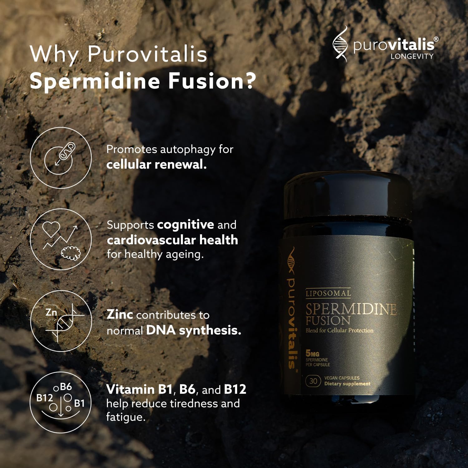 PUROVITALIS Spermidina Liposomal 5mg con Zinc, Vitamina D3 y B12 - 30 Cápsulas Veganas