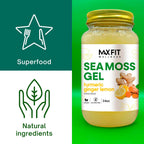 MAX FIT Gel de Musgo de Mar con Cúrcuma, Jengibre y Limón (24 oz) - Silvestre de Santa Lucía | 92 Vitaminas y Minerales | Puro y No-GMO