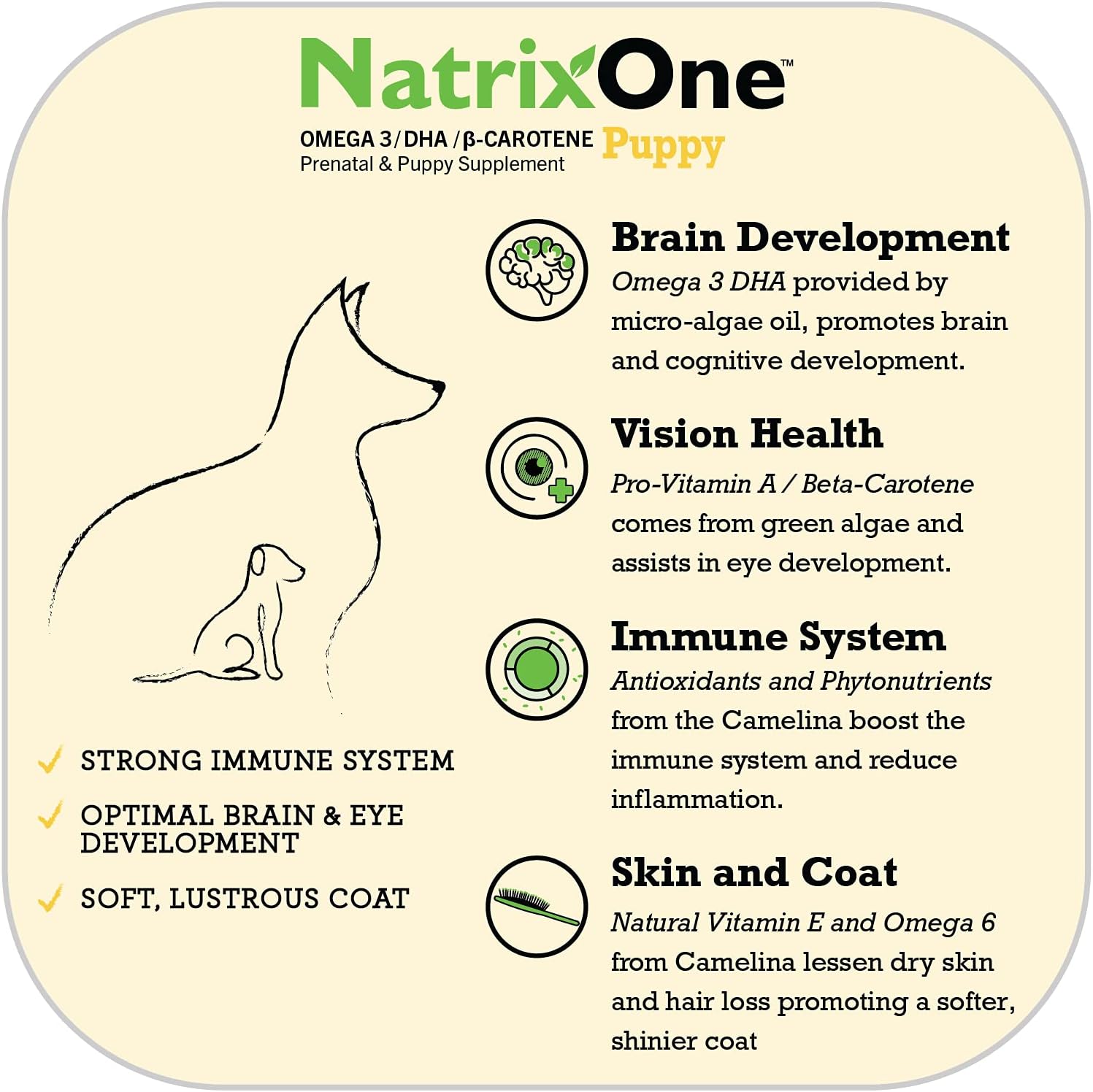 NatrixOne Aceite de Camelina 100% Puro para Cachorros, 237 ml