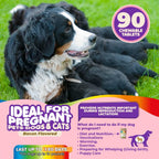 Vitaminas Prenatales para Perros – Ácido Fólico, Calcio y Hierro