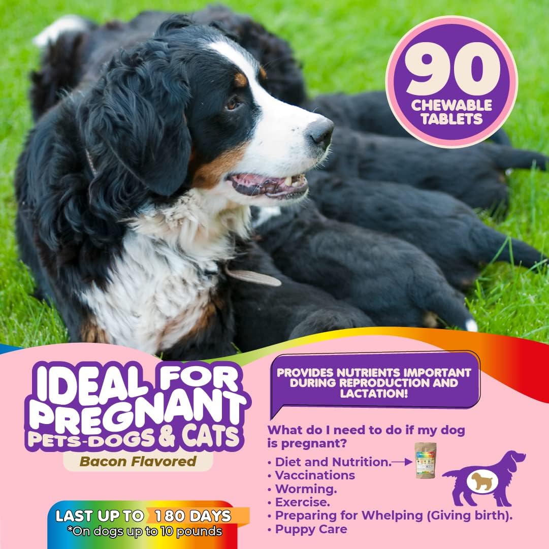 Vitaminas Prenatales para Perros – Ácido Fólico, Calcio y Hierro