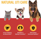 Tratamiento Natural de Infección Urinaria para Perros y Gatos – Gotas de Arándano para Apoyo Renal y Vesical