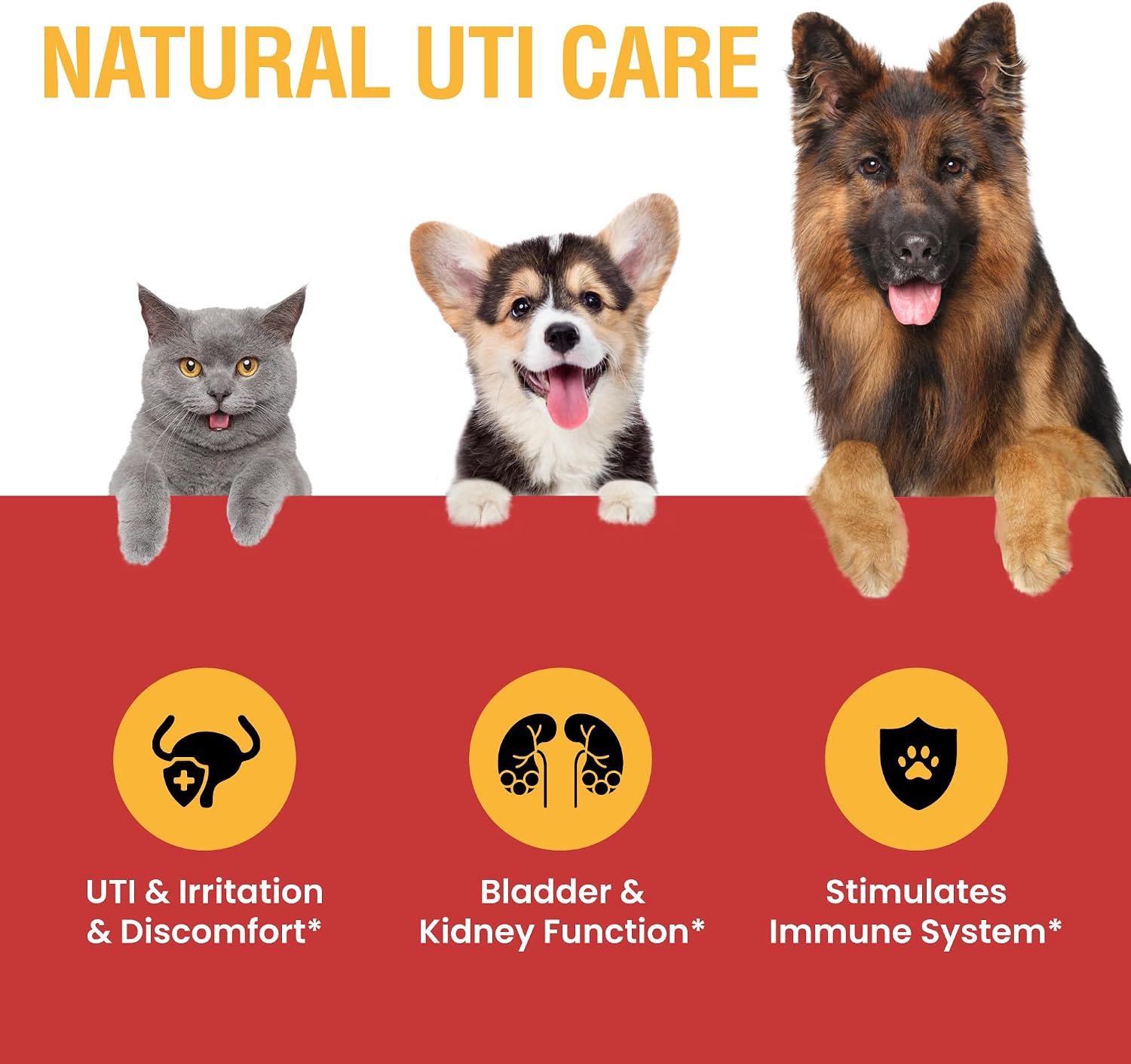 Tratamiento para Infecciones Urinarias en Perros y Gatos – Alivio Natural con Gotas de Arándano – Apoyo Renal y de Vejiga – Ayuda con Incontinencia, Micción Frecuente, Cálculos en la Vejiga – Gotas para el Cuidado Renal de Mascotas