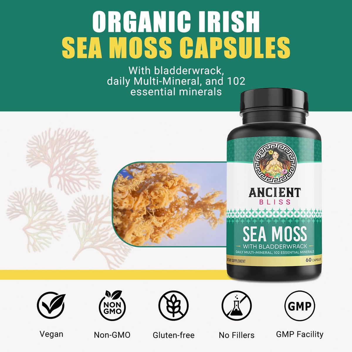 Ancient Bliss Organic Irish Sea Moss Pills - Dr Sebi Wildcrafted Seamoss Capsules | Thyroid, Healthy Skin & Gut Support | – Image 2