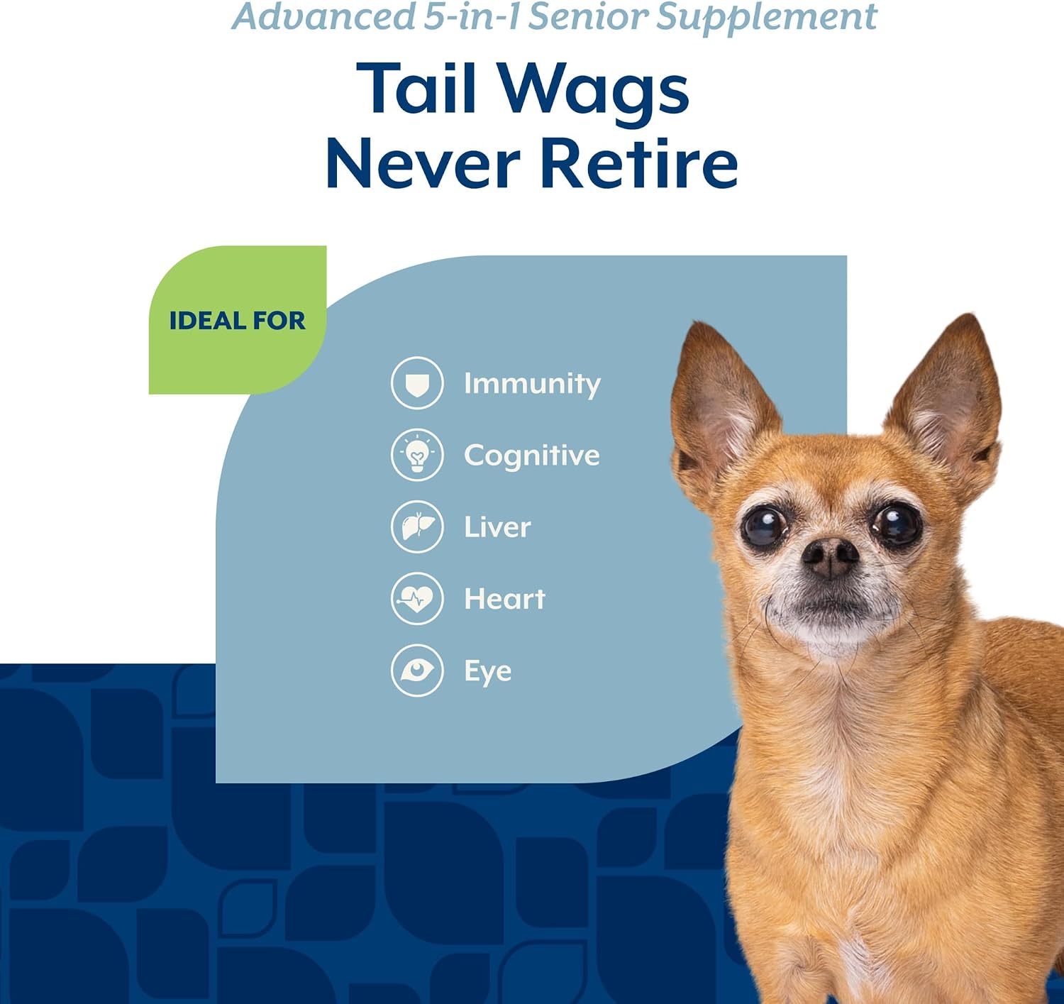 NaturVet Senior Advanced 5-en-1 Apoyo para Perros Mayores – 60 masticables blandos con Ginkgo Biloba y Luteína