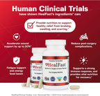 HealFast Completo para Recuperación de Cirugía y Lesiones - Pre y Postoperatorio con Vitaminas, Bromelina, Quercetina y Probióticos