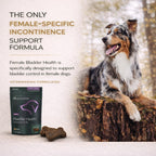 VetriScience Bladder Health Chews for Dogs - Bladder Control and Urinary Support Supplement, Chicken Flavor, 60 Count