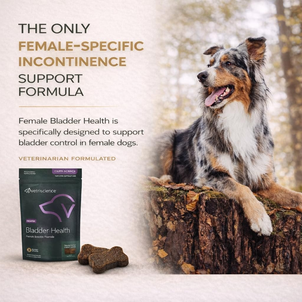 VetriScience Bladder Health Chews for Dogs - Bladder Control and Urinary Support Supplement, Chicken Flavor, 60 Count