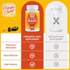 NAD+ 2000 mg con Liposomas - Suplemento de Vitamina B3 - 120 Cápsulas Blandas