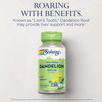 SOLARAY Dandelion Root - Kidney & Liver Support Supplement - 1,040 mg Per Serving - Vegan - 100 VegCaps