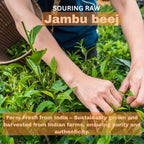 Morsan's Jambu Beej Cápsulas, Pack de 2 x 60 x 500 mg. Cápsulas Vegetales, Puras y Naturales