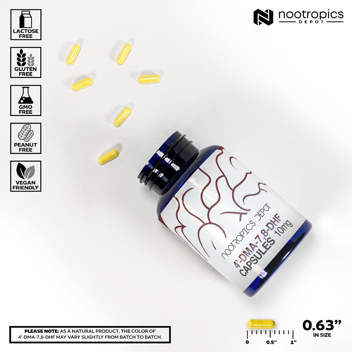 Nootropics Depot 4’-DMA-7,8-DHF Cápsulas | 10mg | 90 Unidades – Image 3