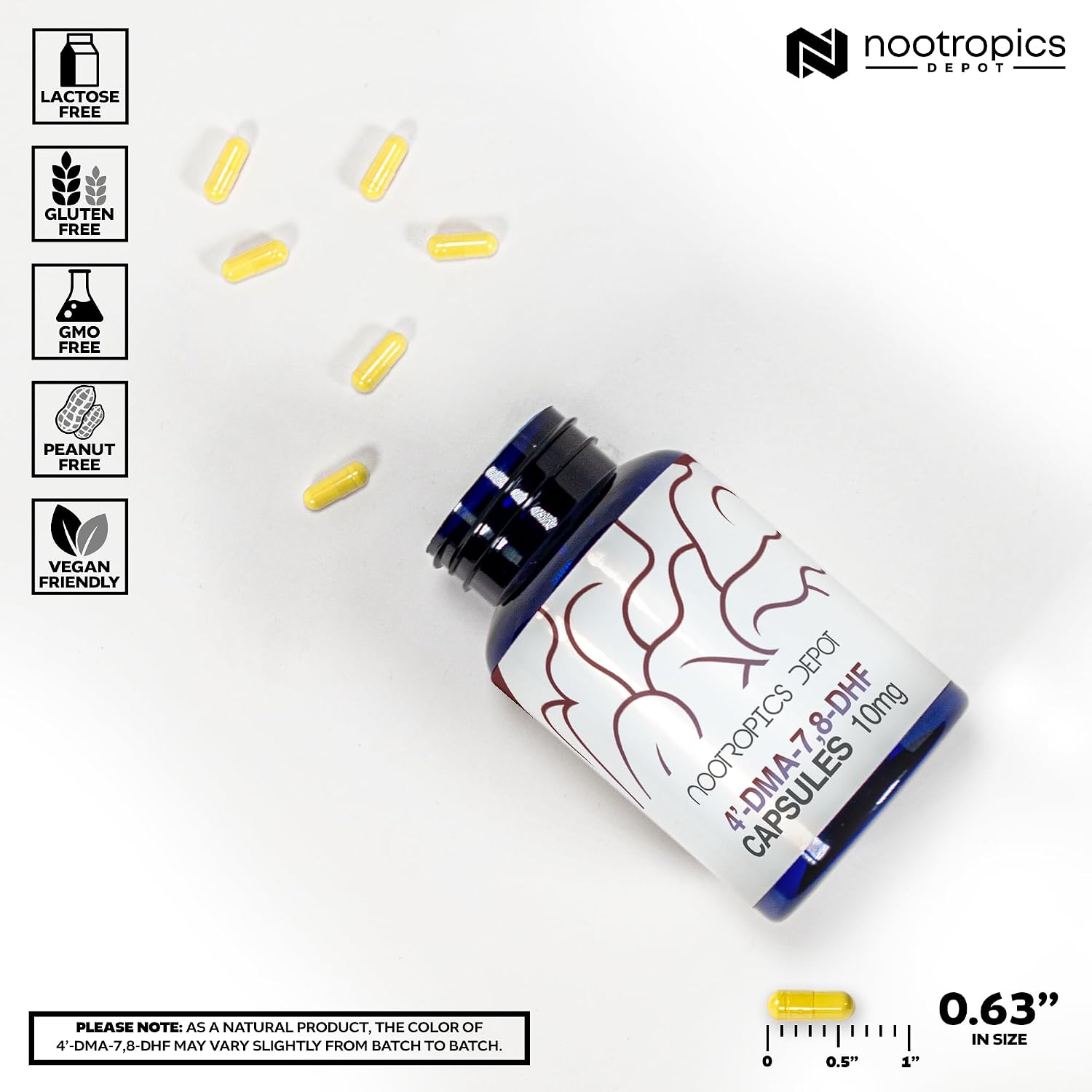Nootropics Depot 4’-DMA-7,8-DHF Cápsulas | 10mg | 90 Unidades