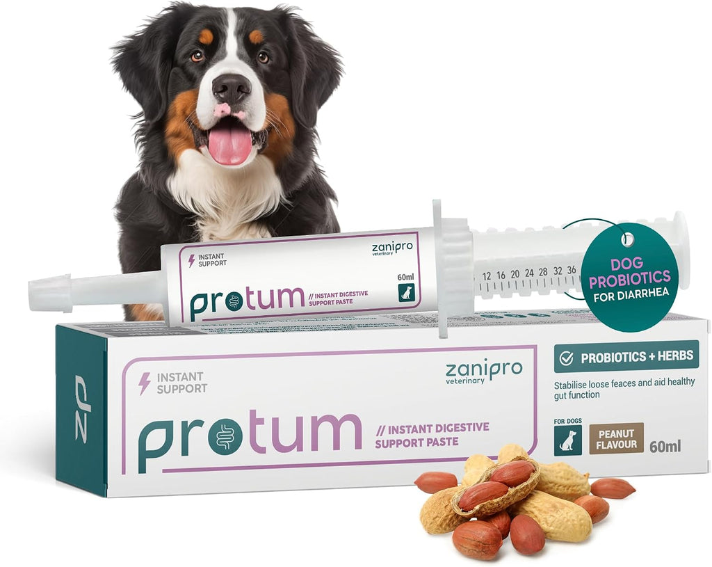 Zanipro Pasta Probiótica Veterinaria para Perros, Sabor Cacahuete (60ml)