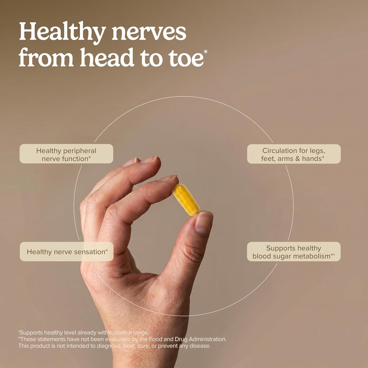 Terry Naturally Healthy Feet & Nerves - Complemento Herbal con Vitamina B12 Bioactiva para Nervios y Circulación - 120 Cápsulas (2 Envases)
