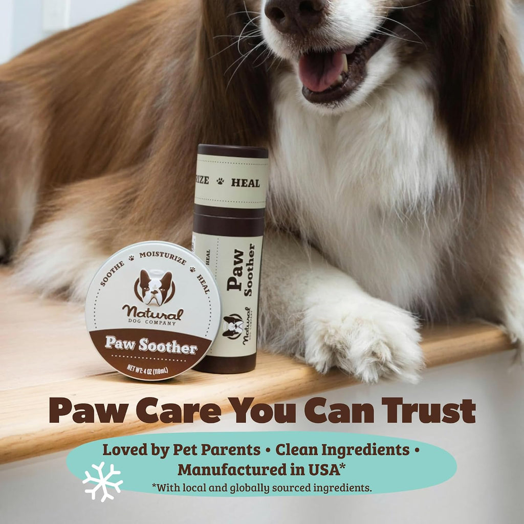 Natural Dog Company Bálsamo Calmante para Patas de Perro - Lote con Lata de 56g y Barra de Viaje